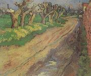 Pollard Willows (nn04) Vincent Van Gogh